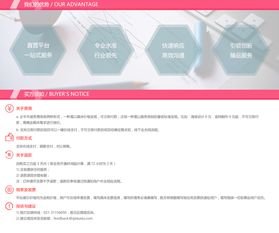 企业网站制作与开发 打造高效品牌形象的三种关键路径
